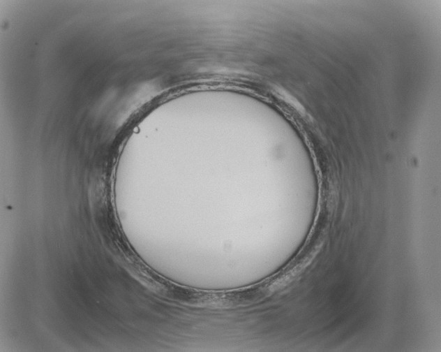 X0000081571259200701291206