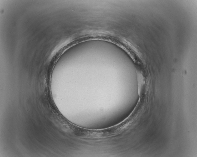 X0000081571261200701291206