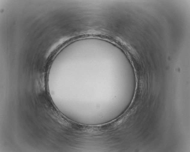 X0000081571262200701291206