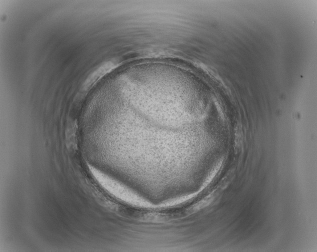 X0000081571265200701291206