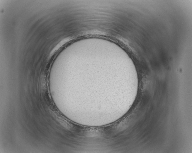 X0000081571266200701291206