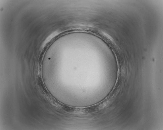 X0000081571267200701291206