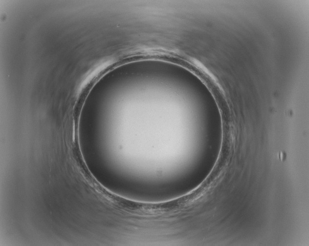 X0000081571269200701291206