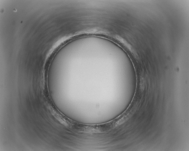 X0000081571270200701291206