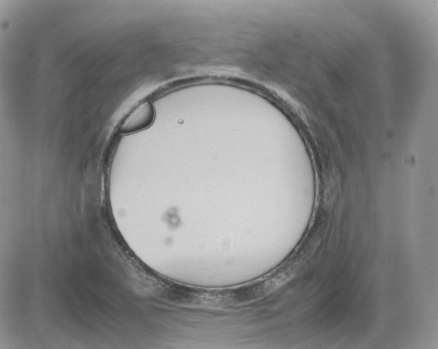 X0000081571271200701291206