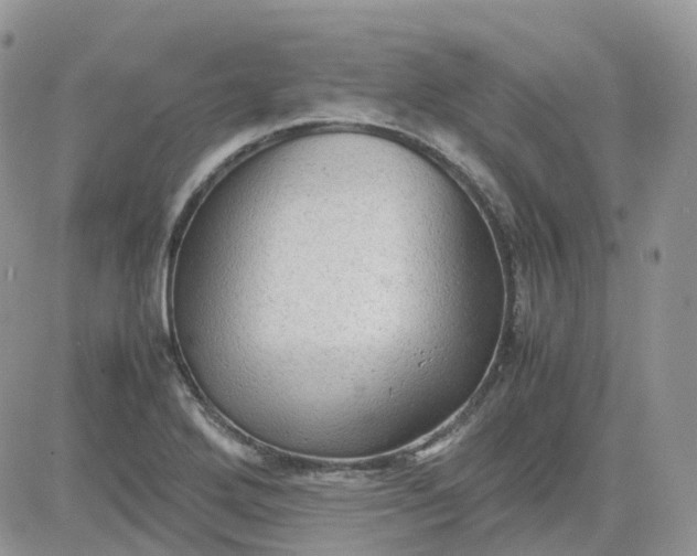 X0000081571272200701291206