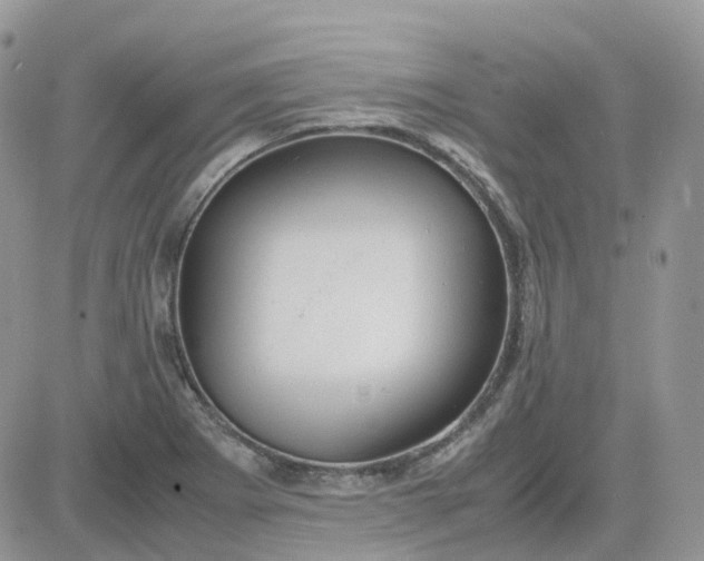 X0000081571273200701291206