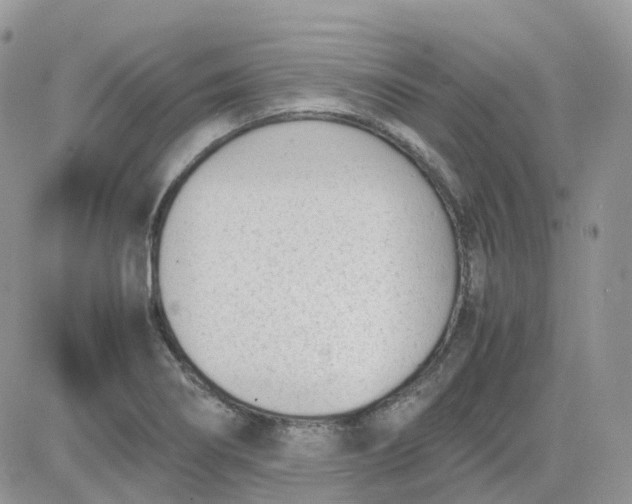 X0000081571274200701291206