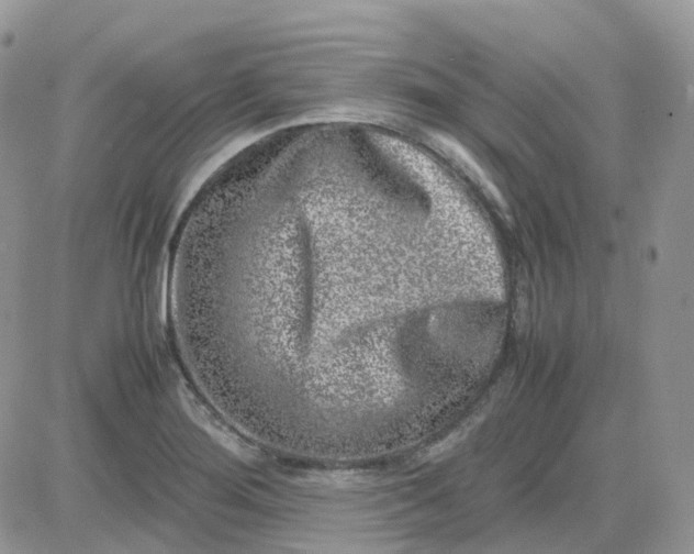 X0000081571276200701291206