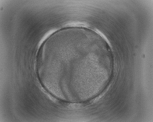 X0000081571277200701291206