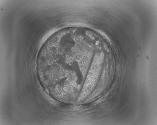 X0000081571279200701291206