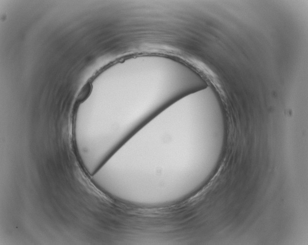 X0000081571280200701291206