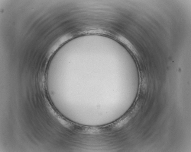 X0000081571282200701291206