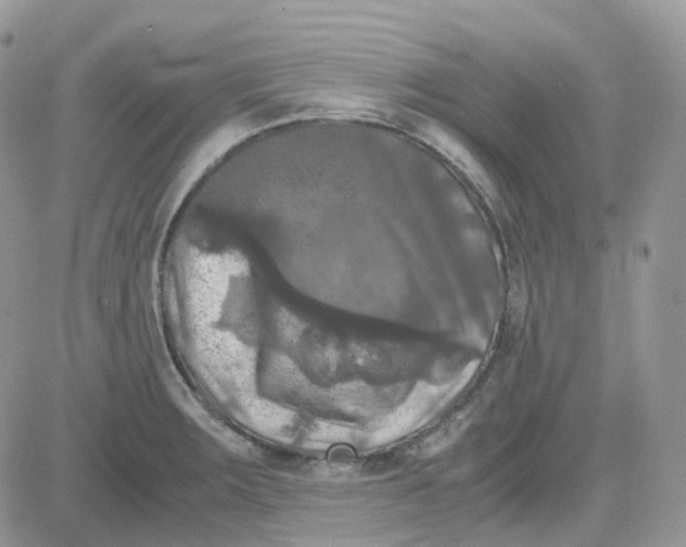 X0000081571283200701291206