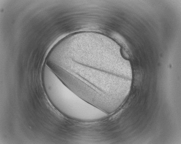 X0000081571284200701291205