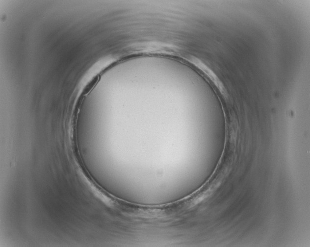 X0000081571285200701291205