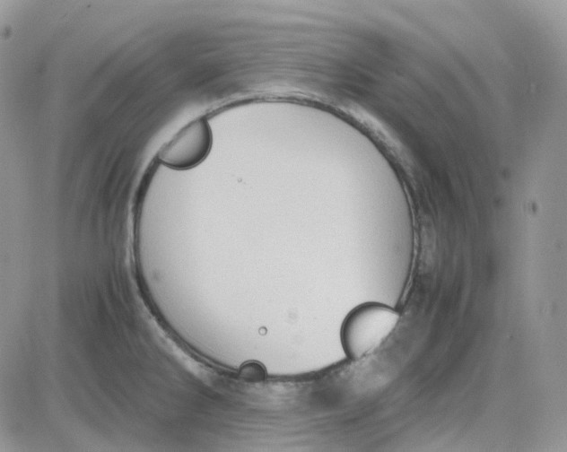 X0000081571286200701291205