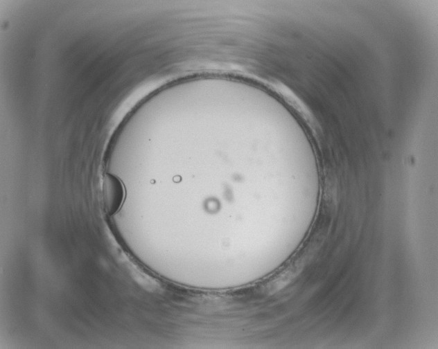 X0000081571287200701291205