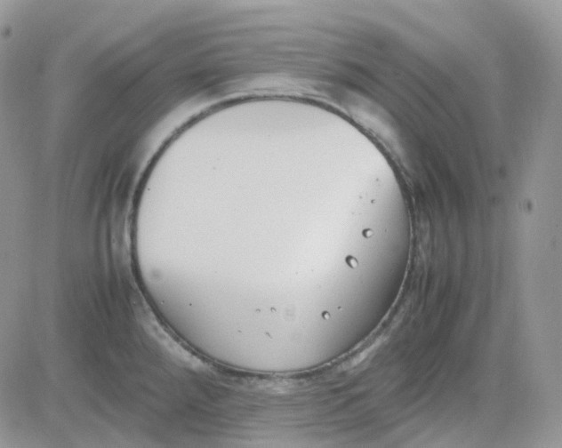 X0000081571288200701291205