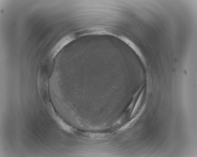 X0000081571289200701291205