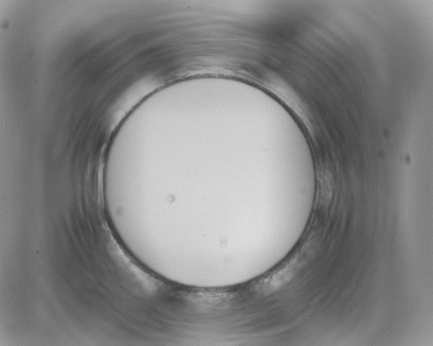 X0000081571290200701291205