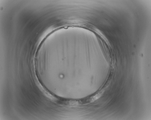 X0000081571291200701291205