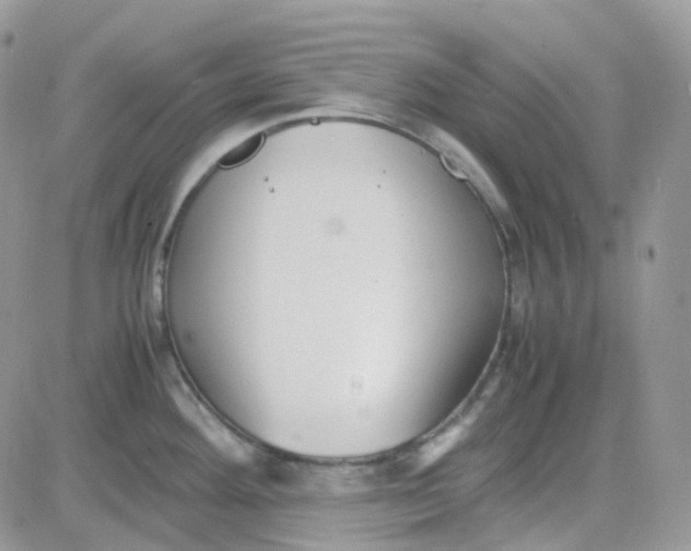 X0000081571292200701291205