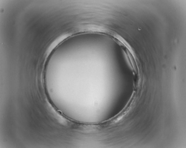 X0000081571293200701291205