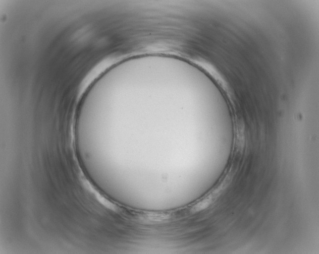 X0000081571294200701291205