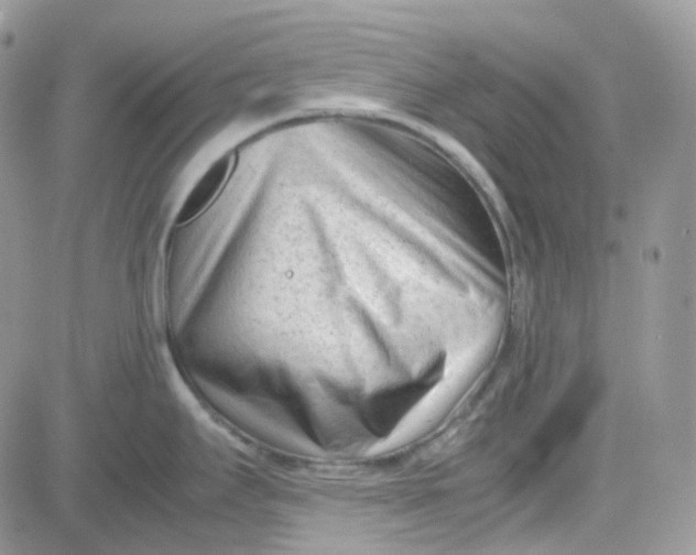 X0000081571295200701291205