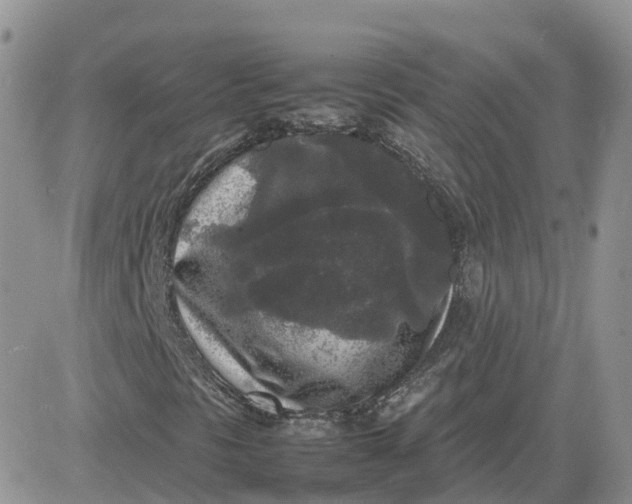 X0000081571297200701291205