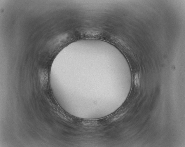 X0000081571299200701291205