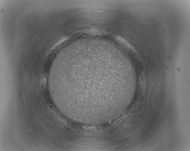 X0000081571302200701291205