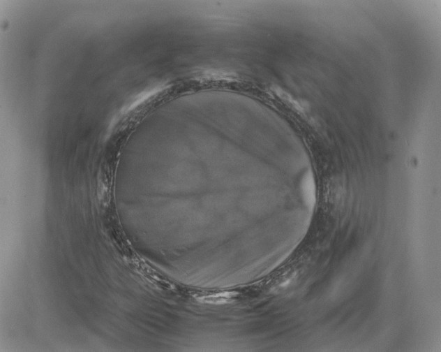 X0000081571303200701291205