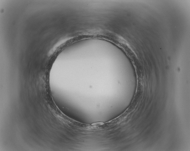 X0000081571304200701291205