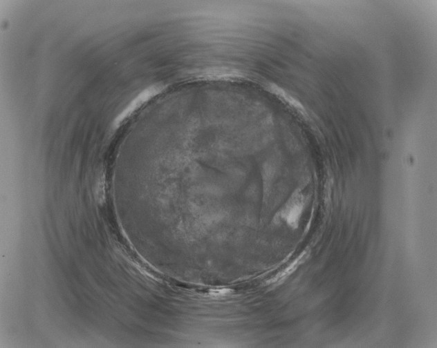 X0000081571306200701291205