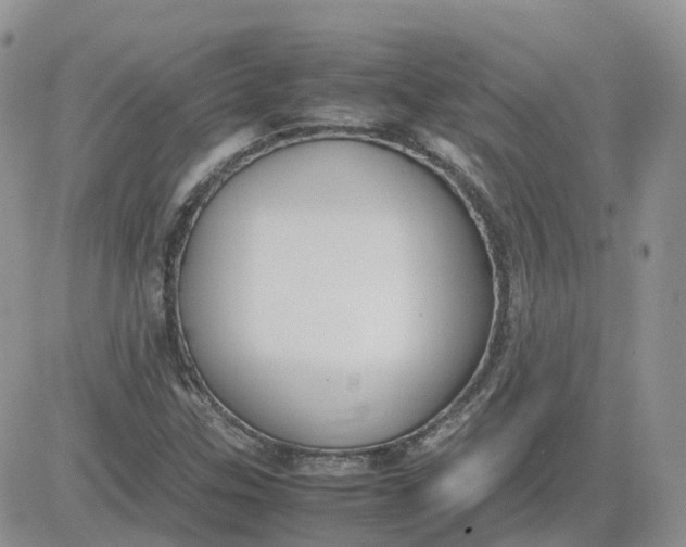 X0000081571307200701291205