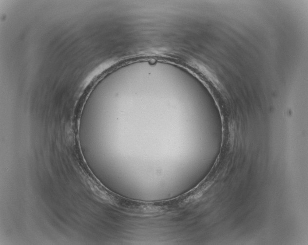 X0000081571308200701291205