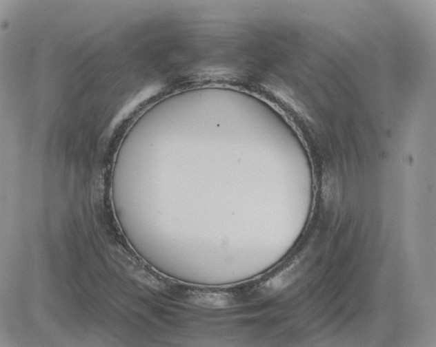 X0000081571309200701291205