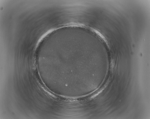 X0000081571310200701291205