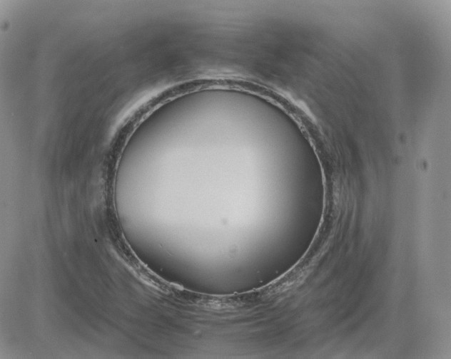 X0000081571311200701291205