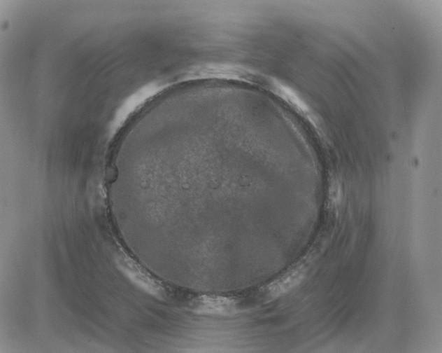 X0000081571312200701291205