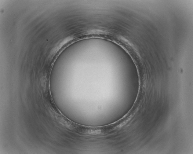 X0000081571313200701291205