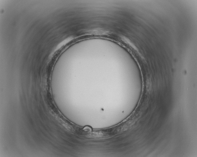 X0000081571315200701291205