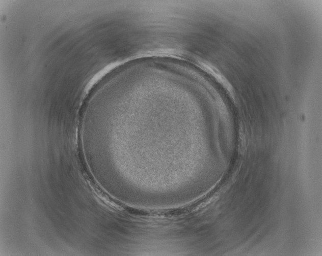 X0000081571316200701291205