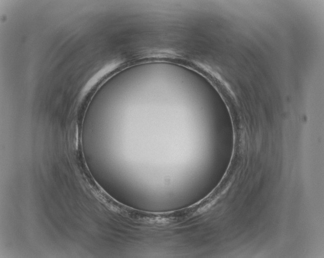 X0000081571317200701291205