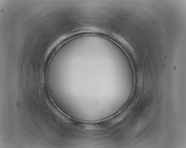 X0000081571318200701291205