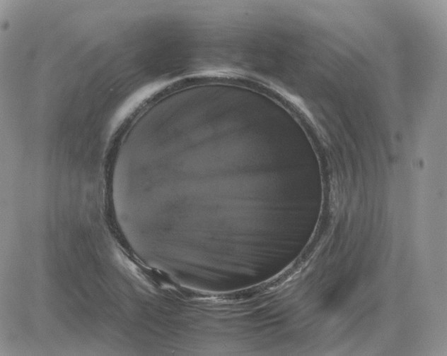 X0000081571319200701291205