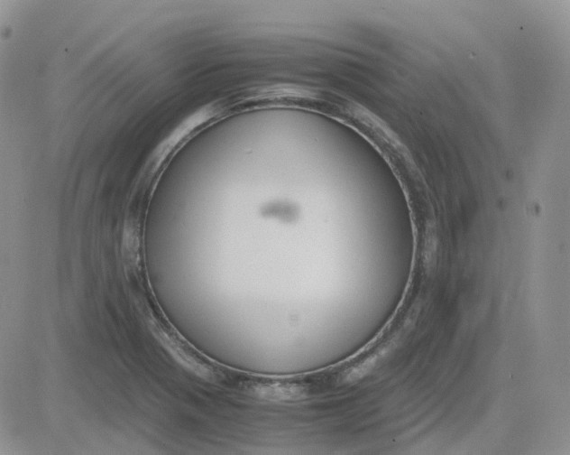 X0000081571321200701291205