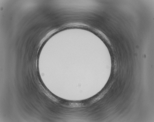 X0000081571322200701291205